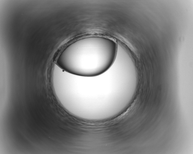 X0000099381261200805081152