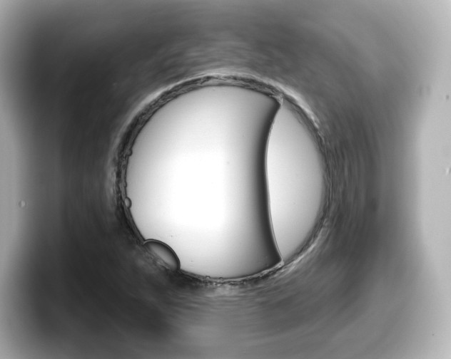 X0000099381263200805081152