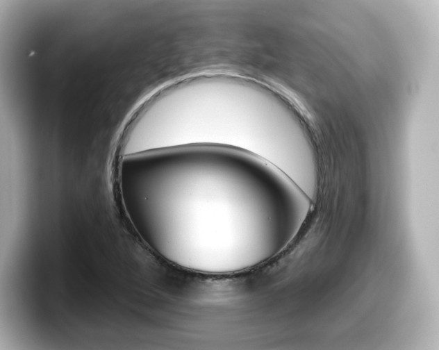 X0000099381264200805081152