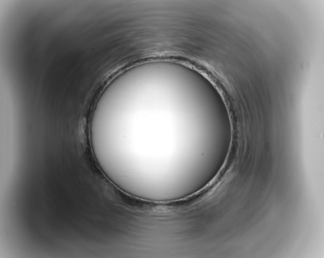 X0000099381265200805081152