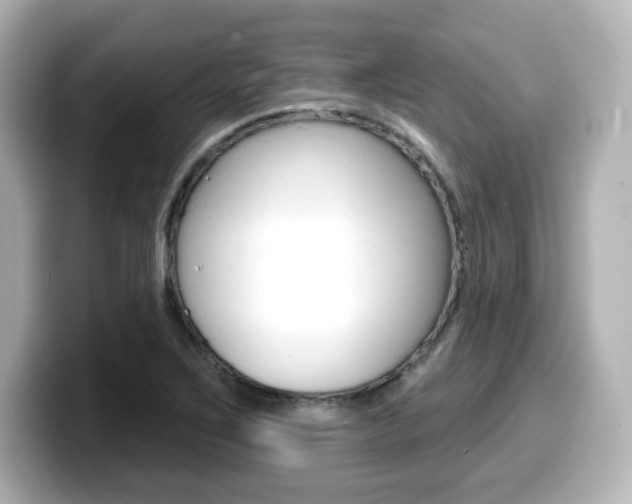 X0000099381267200805081152