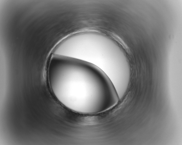 X0000099381268200805081152