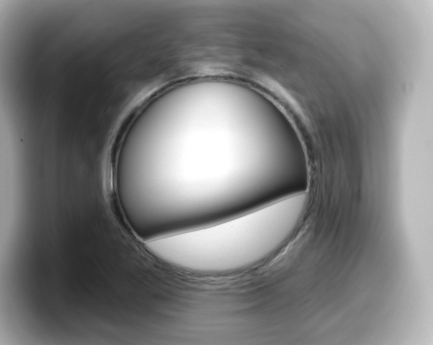 X0000099381269200805081152