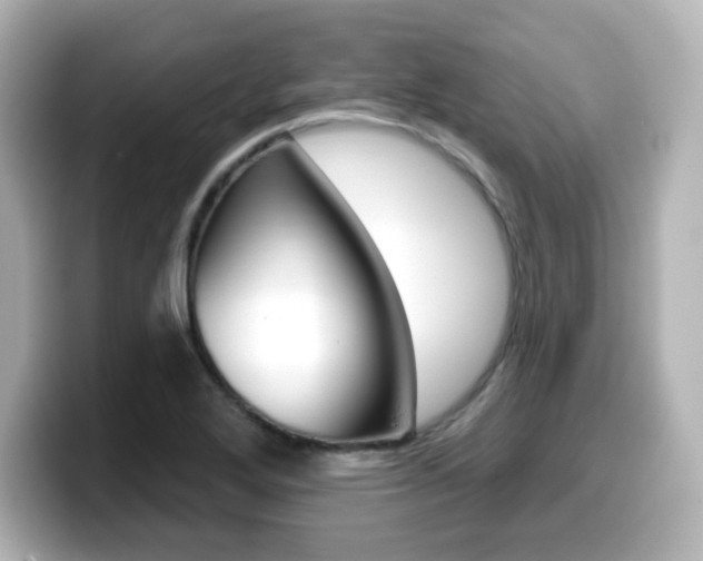 X0000099381272200805081152