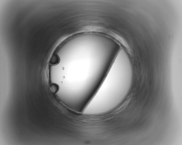 X0000099381275200805081152