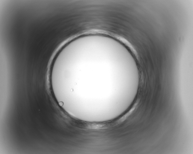 X0000099381278200805081151
