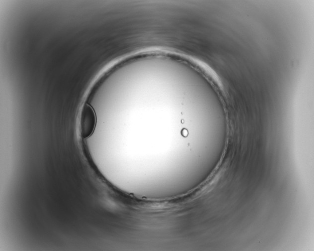 X0000099381279200805081151