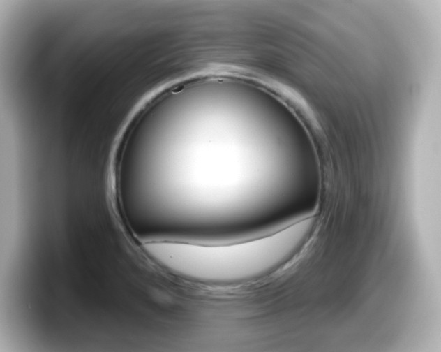 X0000099381280200805081151