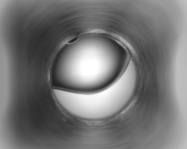 X0000099381281200805081151