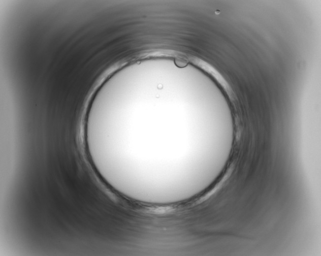 X0000099381282200805081151