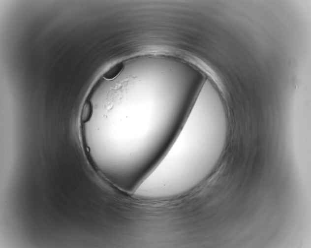 X0000099381283200805081151