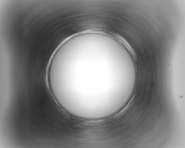 X0000099381284200805081151