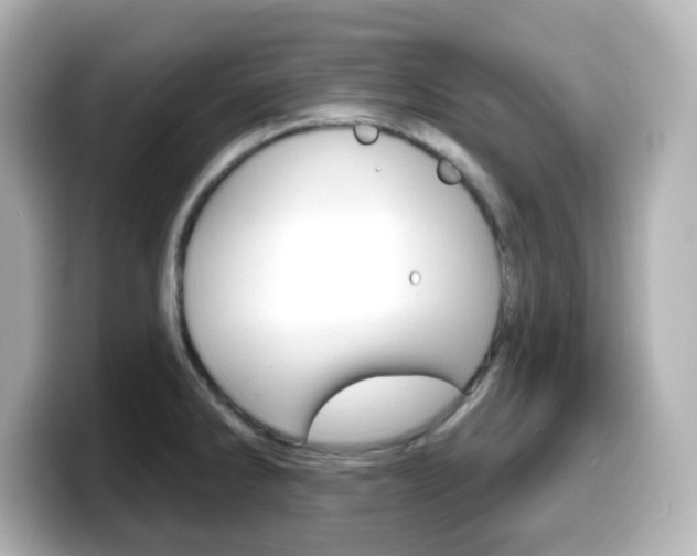 X0000099381286200805081151