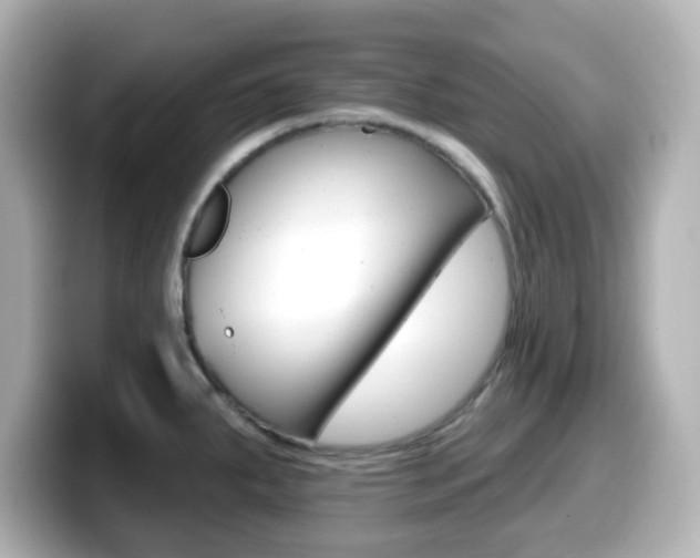 X0000099381287200805081151