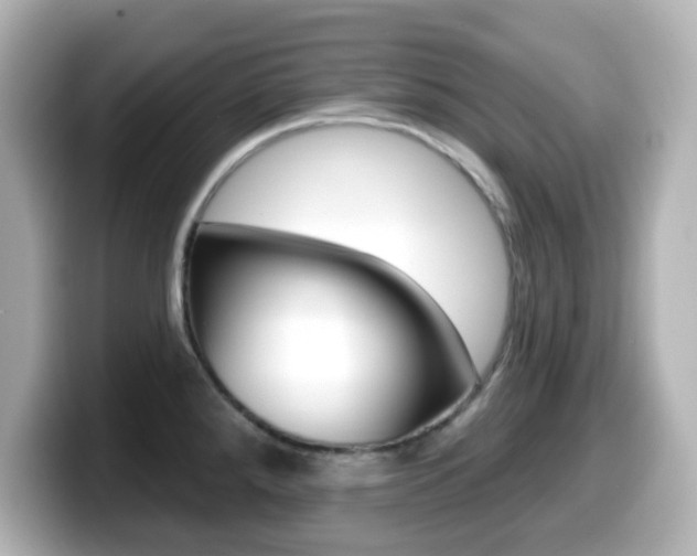 X0000099381288200805081151