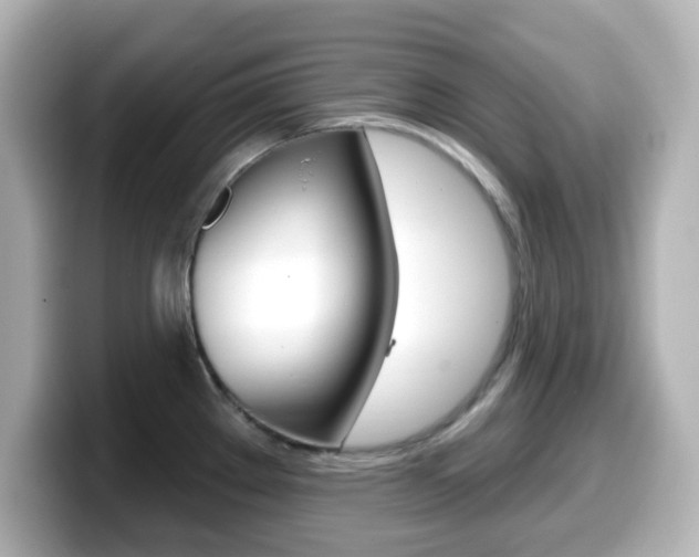 X0000099381289200805081151