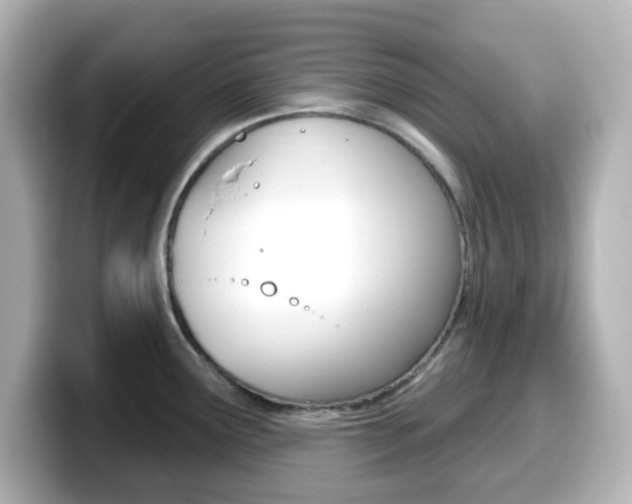 X0000099381291200805081151