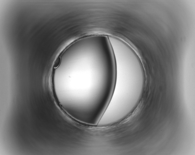 X0000099381293200805081151