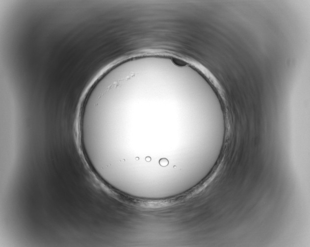 X0000099381294200805081151
