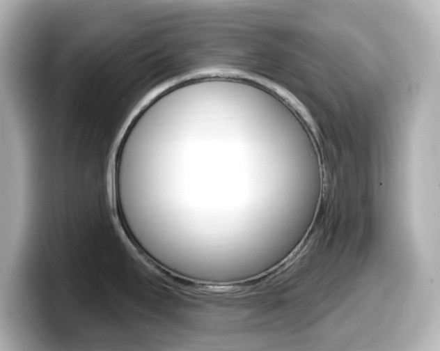 X0000099381295200805081151