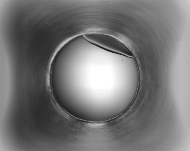 X0000099381296200805081151