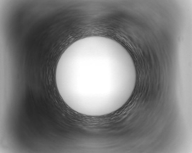X0000099381298200805081151