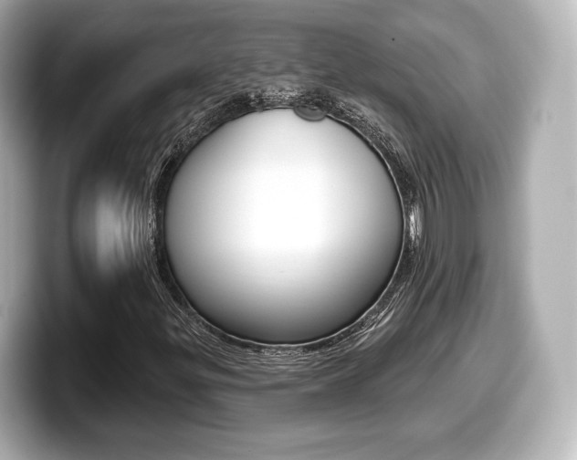 X0000099381299200805081151