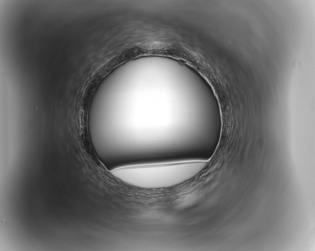 X0000099381301200805081151
