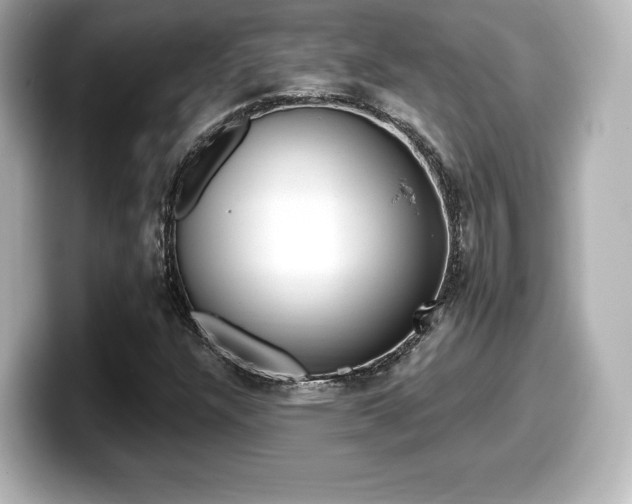 X0000099381304200805081151