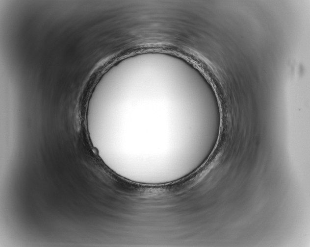 X0000099381306200805081151