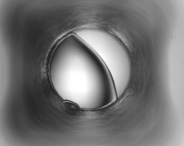 X0000099381308200805081151