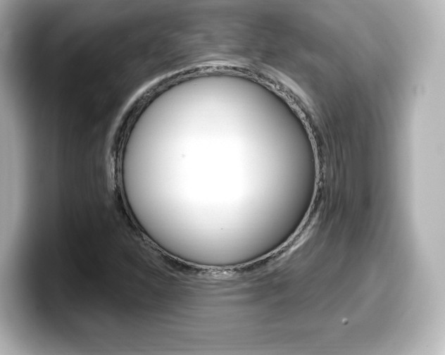 X0000099381310200805081151