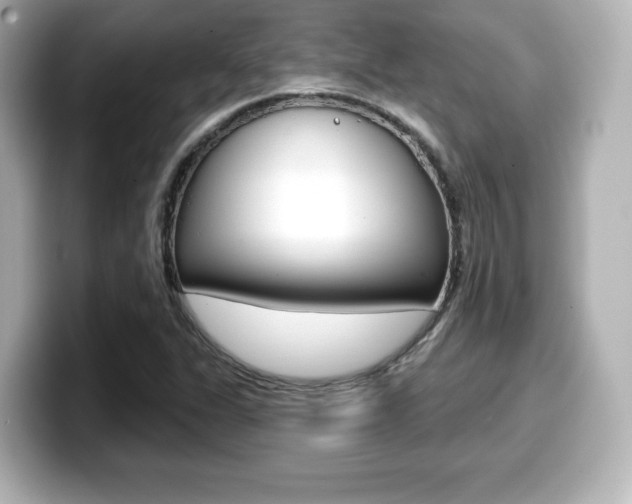 X0000099381311200805081151