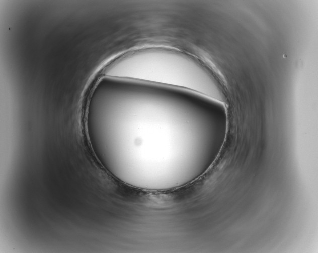 X0000099381312200805081151