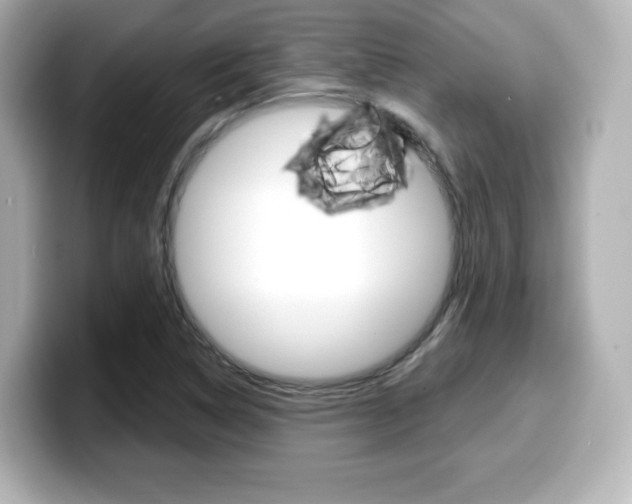X0000099381314200805081151