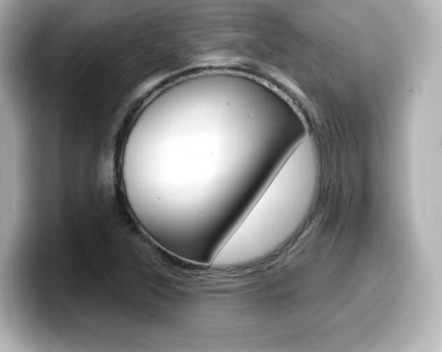 X0000099381315200805081151
