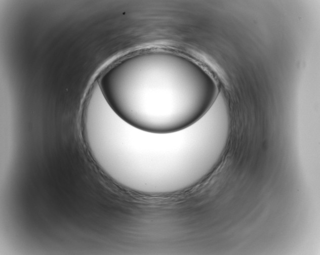 X0000099381316200805081151