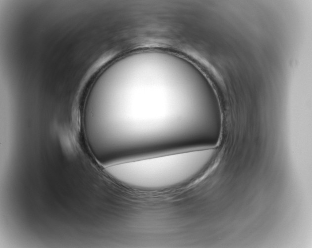 X0000099381317200805081151