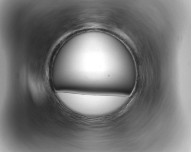 X0000099381318200805081151