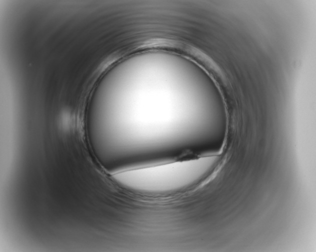 X0000099381321200805081151