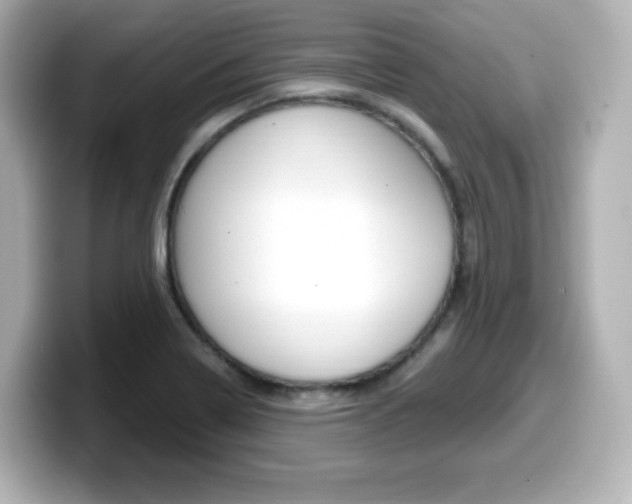 X0000099381322200805081151
