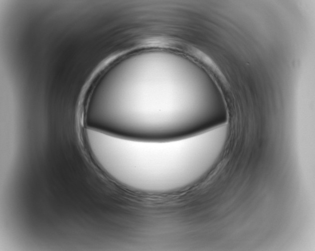X0000099381323200805081151