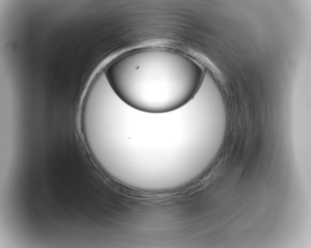X0000099381324200805081151