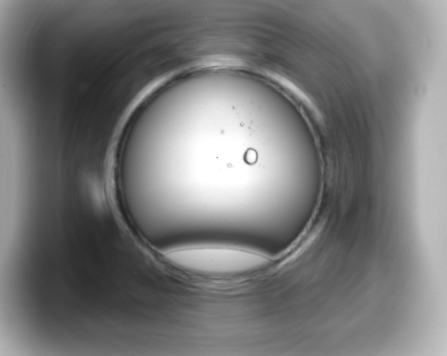 X0000099381325200805081151