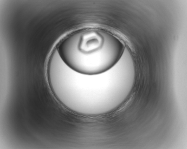 X0000099381326200805081151