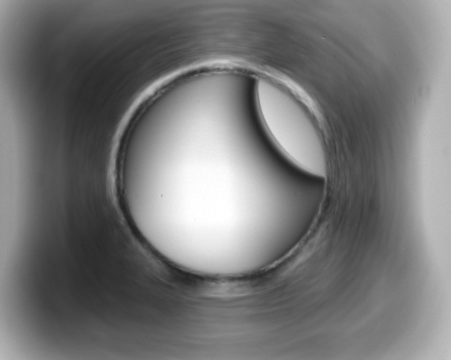 X0000099381327200805081151