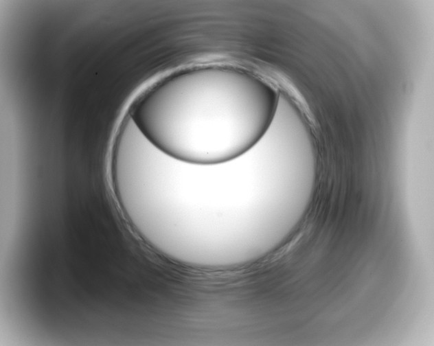 X0000099381328200805081151