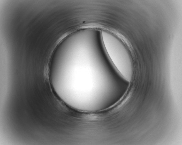 X0000099381329200805081151