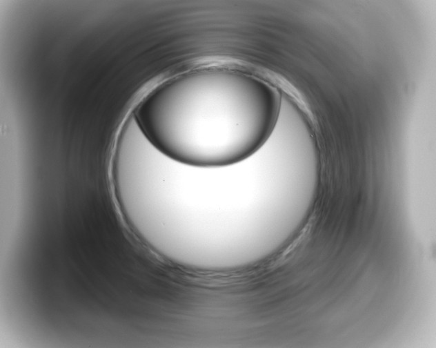 X0000099381330200805081151