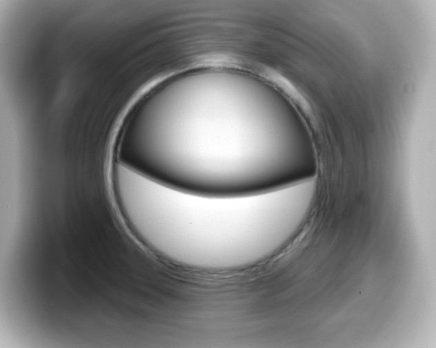 X0000099381331200805081151